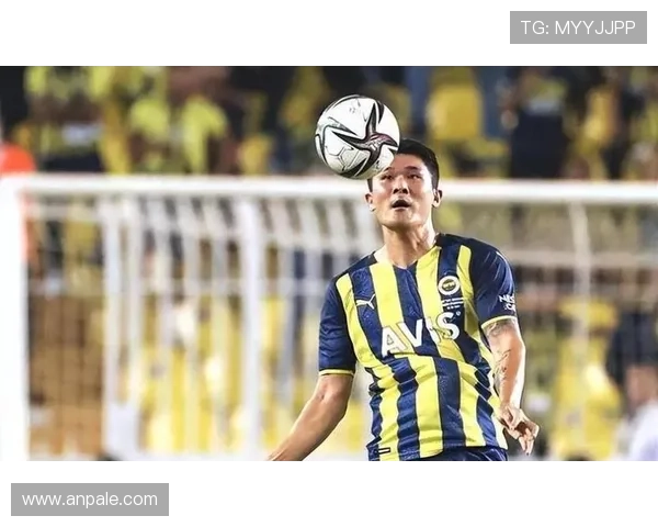 金玟哉孔帕尼战术核心