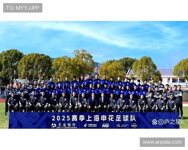 上海申花进攻效率提升，但持续压制能力不足，赛季表现稳定性面临考验