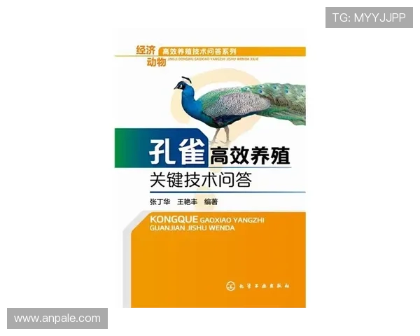 巴西出局原因解析：挪威高效反击成为关键